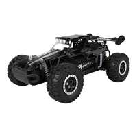 RC Monster Truck